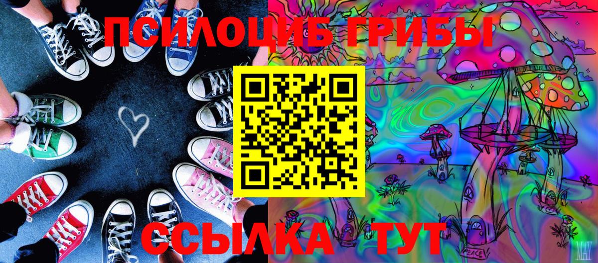 купить закладку  Псилоцибиновые грибы мицелий  Вход с VPN  Елизово 
